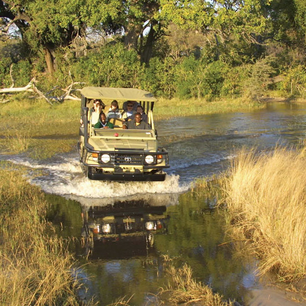 Chobe National Park Game Drives | Victoria Falls Hotels, Tours ...